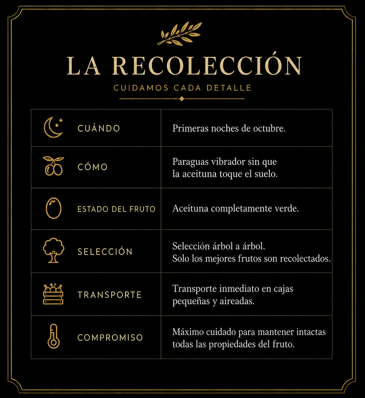 ‼️RESERVA‼️ Selección Verde Picual SIN FILTRAR